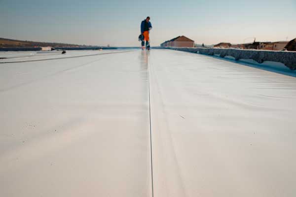 Local Roofing Exterior Waterproofing Services